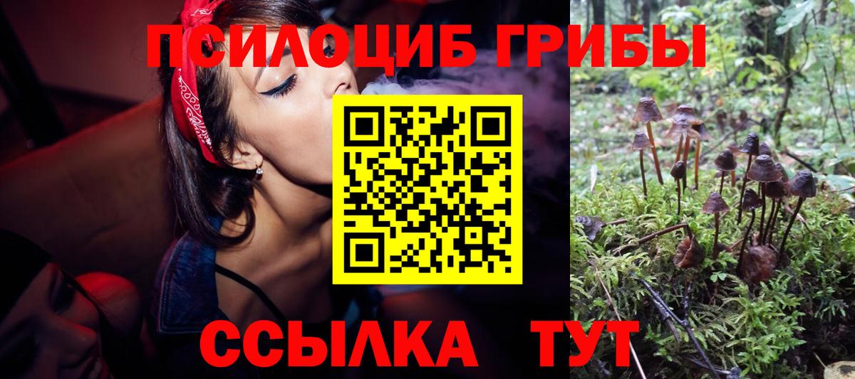 Псилоцибиновые грибы мицелий  Вход с VPN  Тамбов 