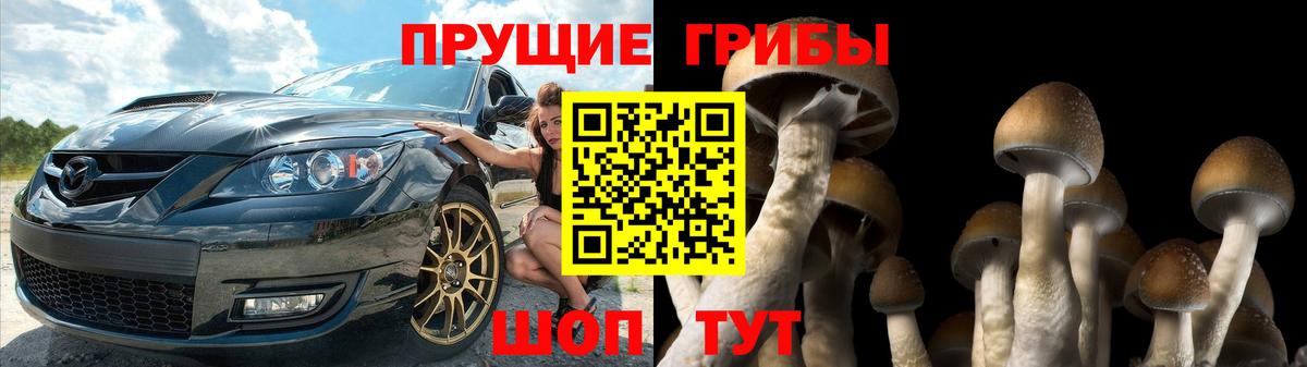 Псилоцибиновые грибы MAGIC MUSHROOMS Тамбов
